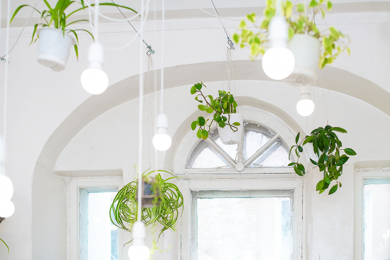 planten aan plafond