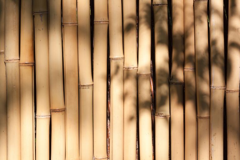 bamboe beitsen