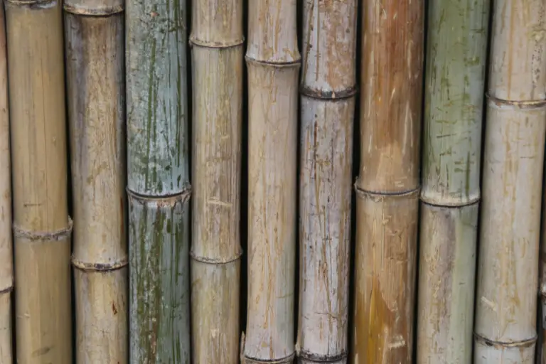 bamboe beitsen

